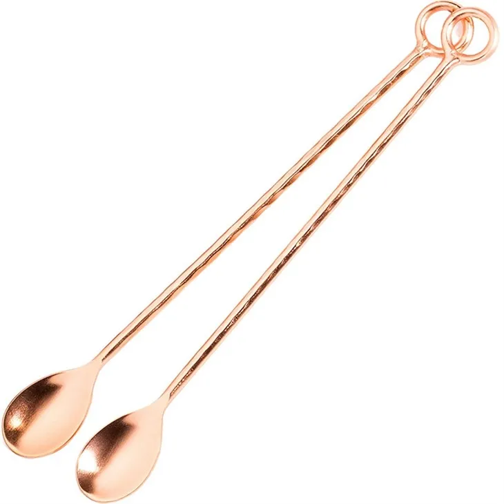 Stainless Steel Professional Twisted Bar Spoon
